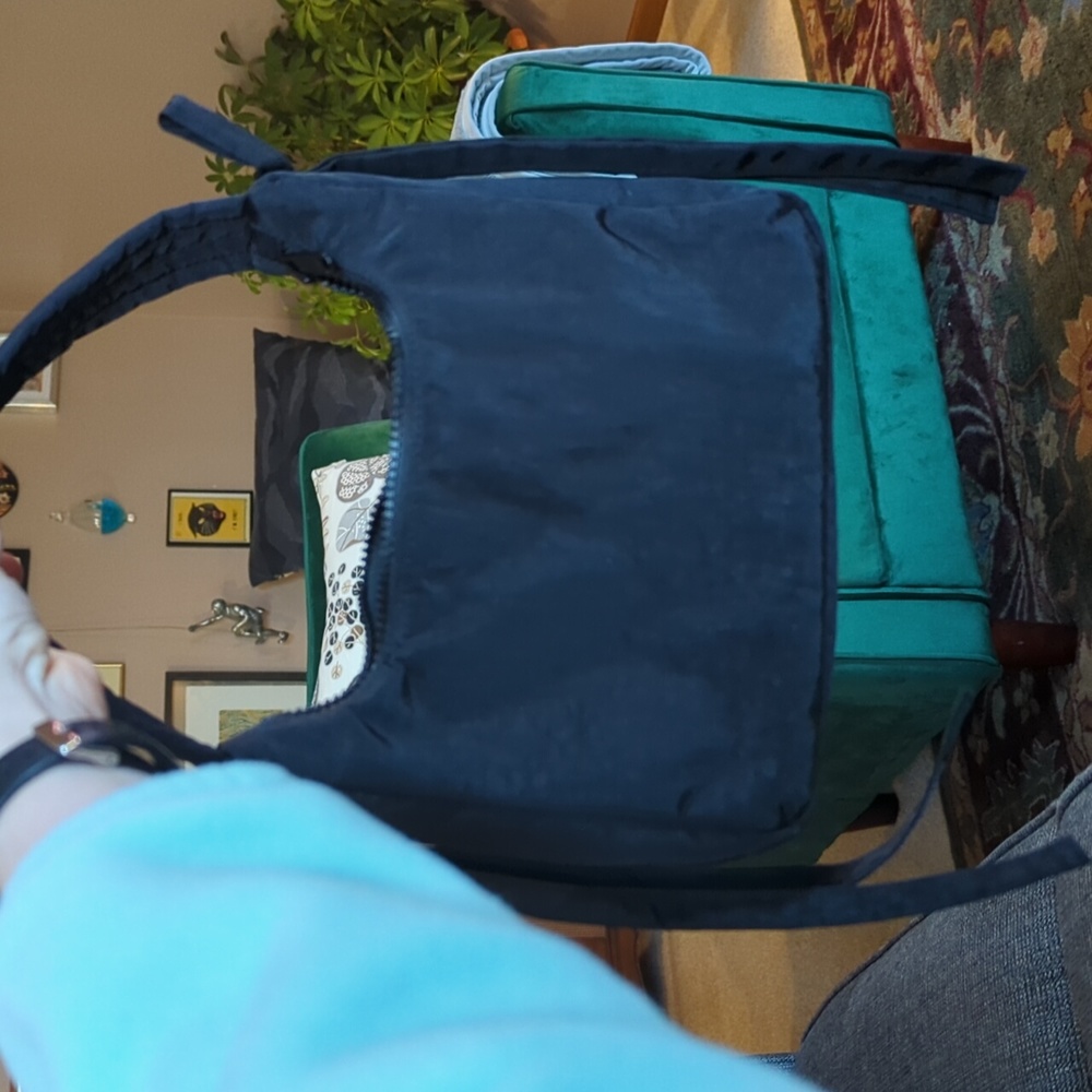 Sandy Liang bag